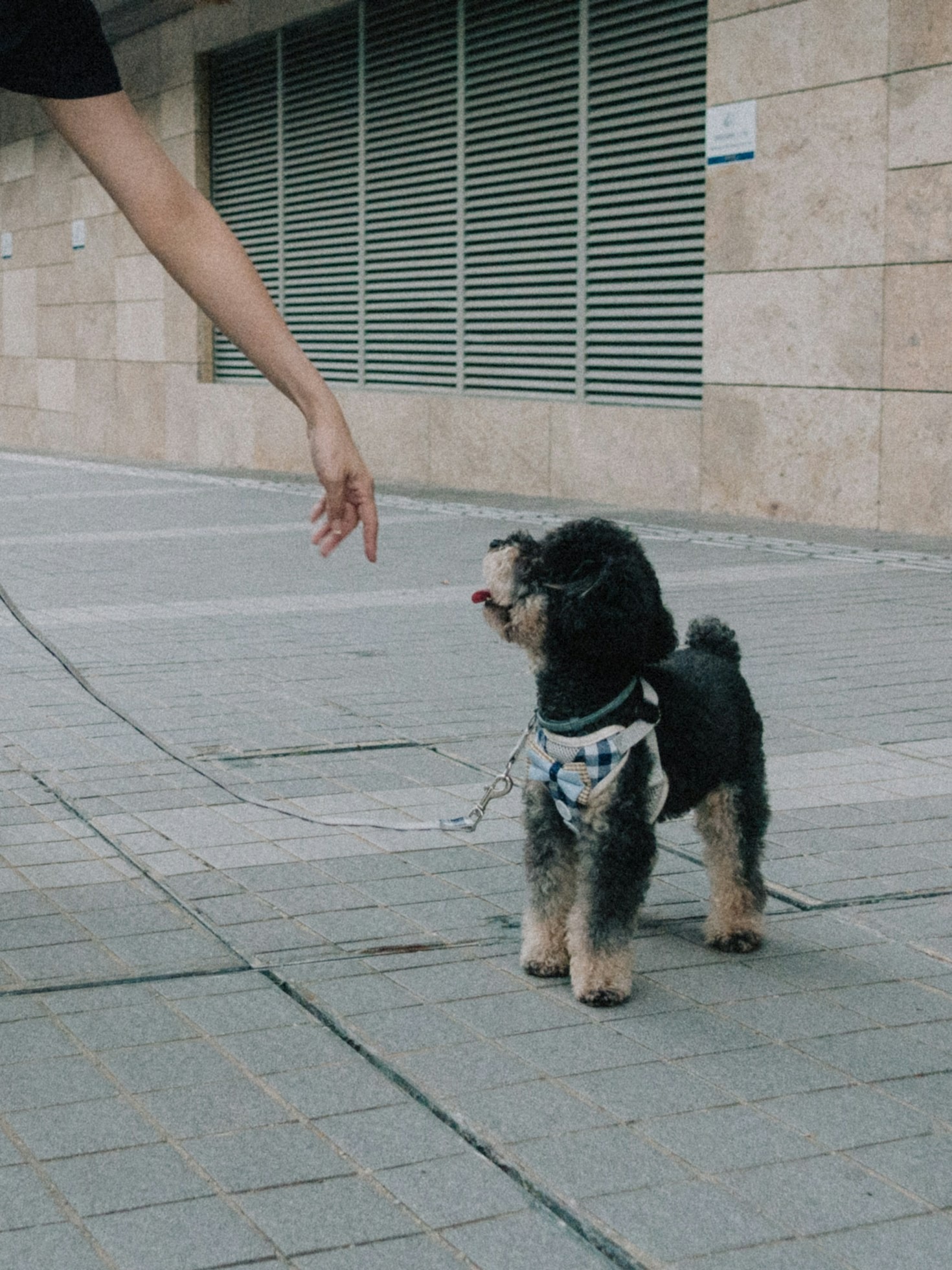 Cómo elegir la mejor guardería en Barcelona